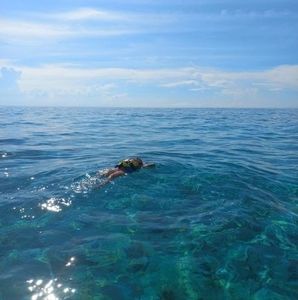 Meet your Posher, Arianna